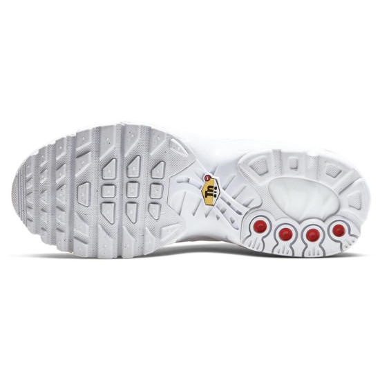 Nike Air Max Plus TN (GS)